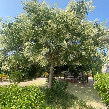 Villa Casa Lusentum Torrevieja Esterno foto