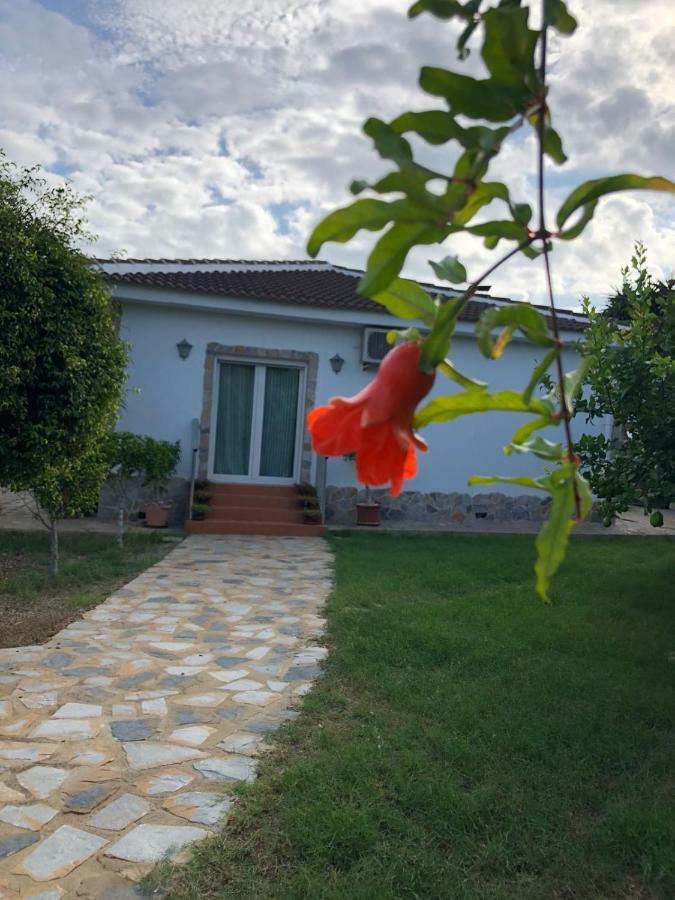 Villa Casa Lusentum Torrevieja Esterno foto